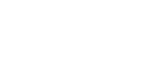 light logo
